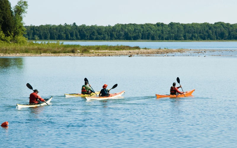 A Beginner’s Guide to the Types of Kayak
