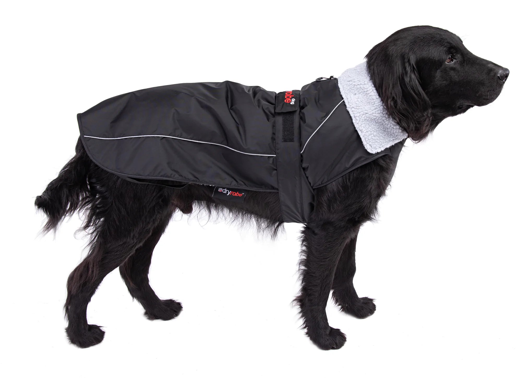DryRobe Dog